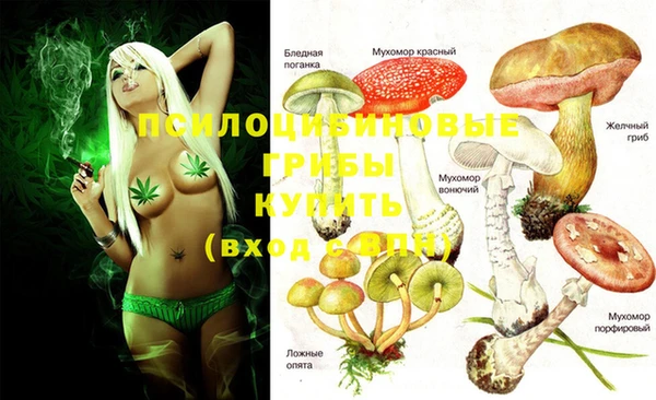 ECSTASY Алзамай