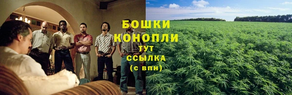 гидропоника Алексеевка