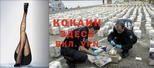 ECSTASY Алзамай